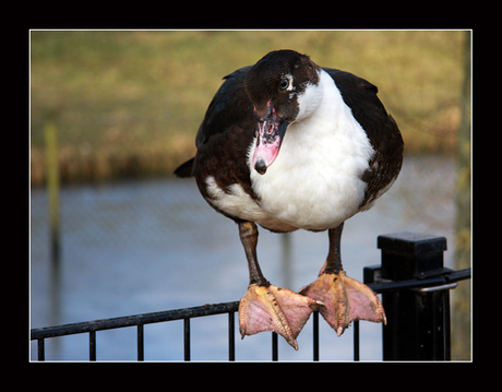 Dat staat toch niet lekker