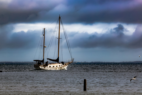 Schip op grevelingen