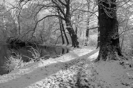 2013-02 Sneeuw Bennebroek