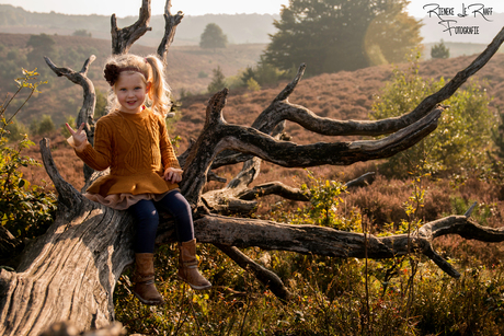 Nora en de omgevallen boom