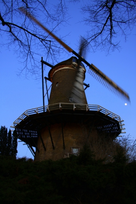 Molen van Piet in Alkmaar