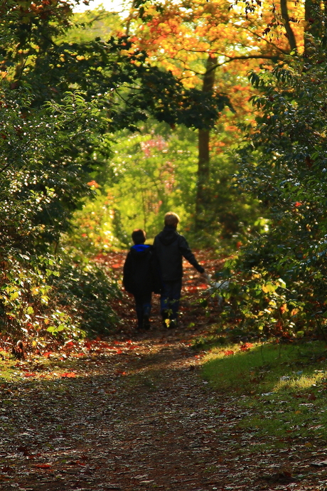 door het bos