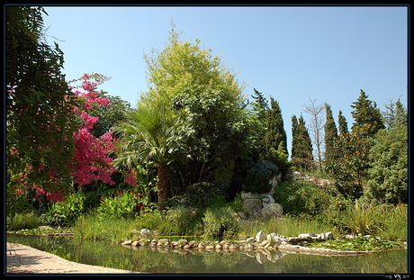 Jardin Aquatique