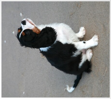 Thomas op het strand