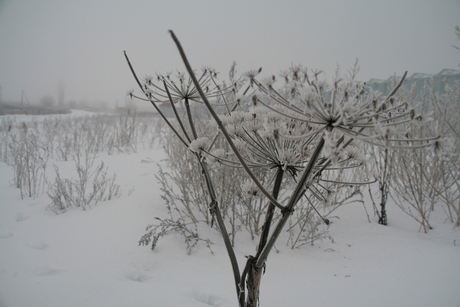 Sneeuw in Rusland