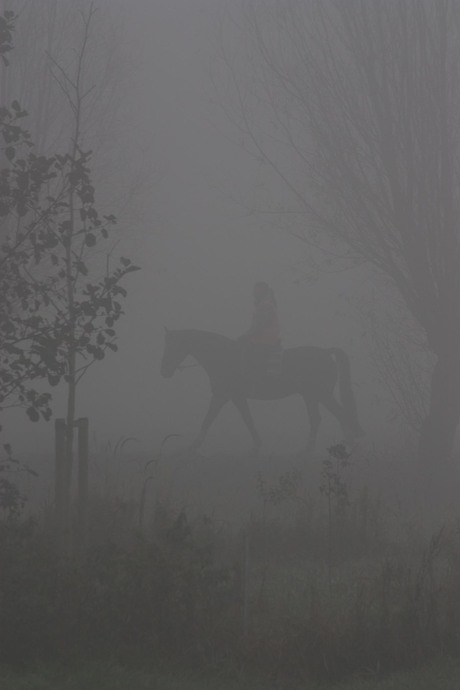 Paardrijdster in de mist