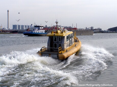 FULLSPEED OP DE NIEUWE MAAS VLAARDINGEN