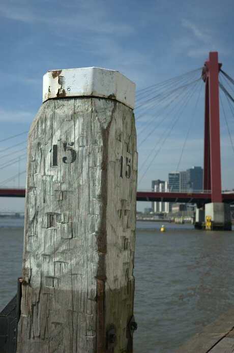 Rotterdam aan de Zee