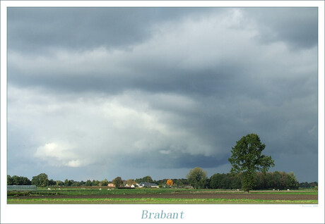 Brabant.