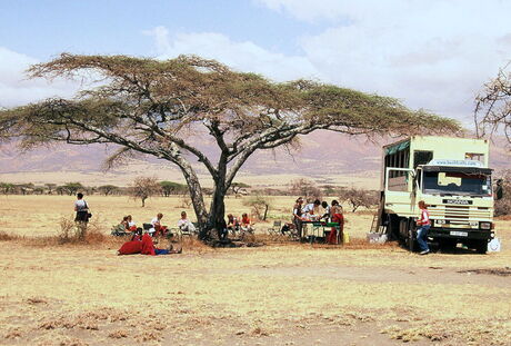 Lunchen onder paraplu-boom.jpg
