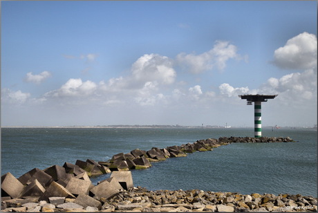 Maasvlakte