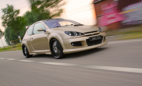 Peugeot 206RC on the road