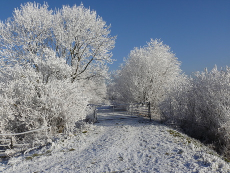 winter in nederland