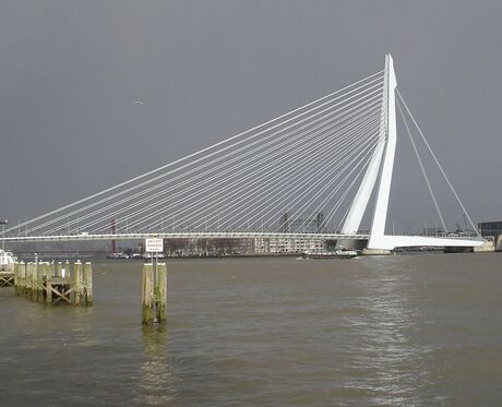 Erasmusbrug