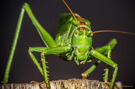 Are you talking to me?