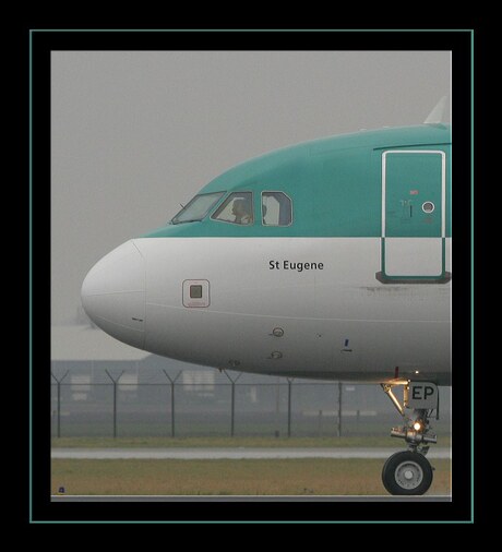 Aer Lingus nose