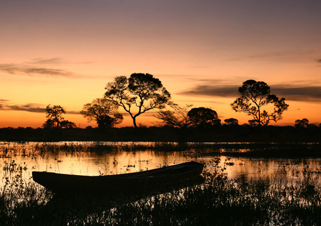 Wetlands