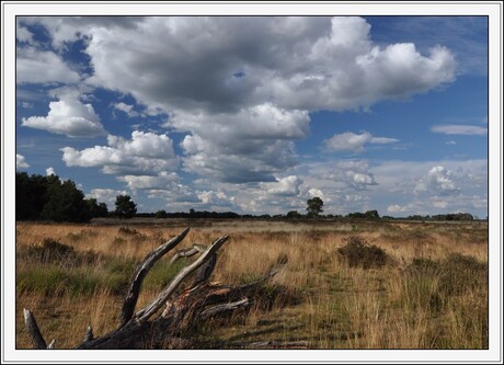 Stabrechtse heide