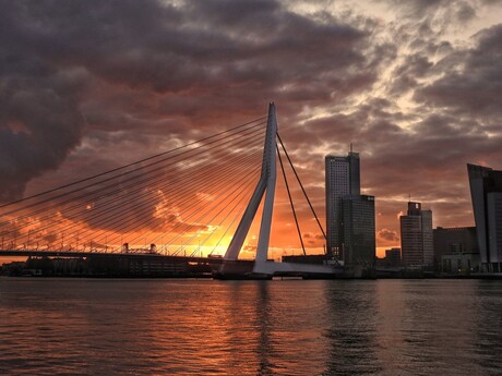 Zonsopkomst Rotterdam
