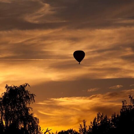 Luchtballon