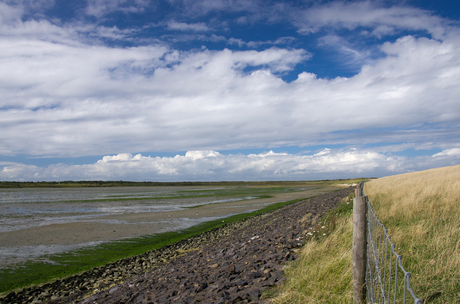 Mooi stukje Texel