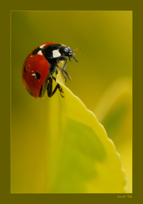Dank je Robert! 186913