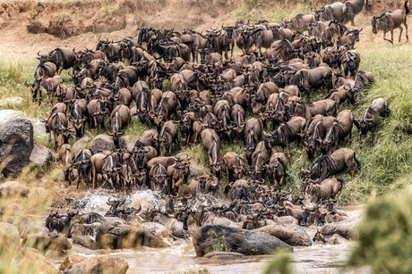 The crossing