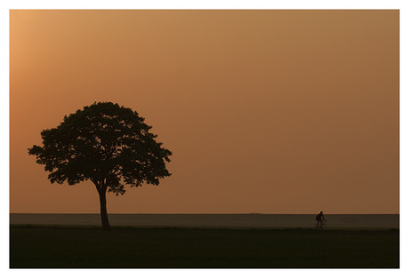 in de polder