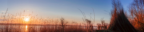 's-ochtends in de Biesbosch