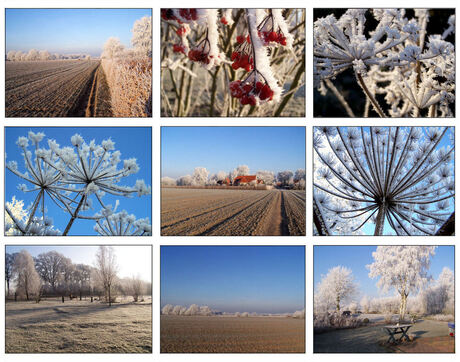 wintercollage