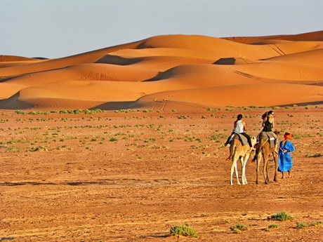 Maroc