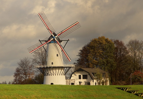 Molen