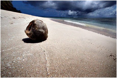 coconut beach