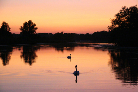 zonsondergang in de Biesbosch