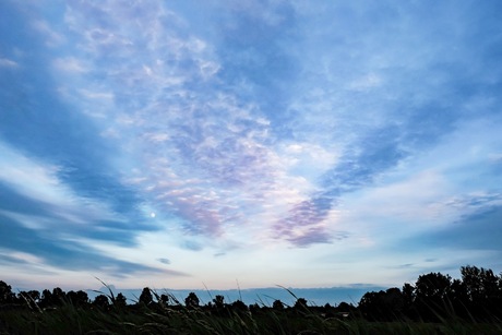 Bethunepolder