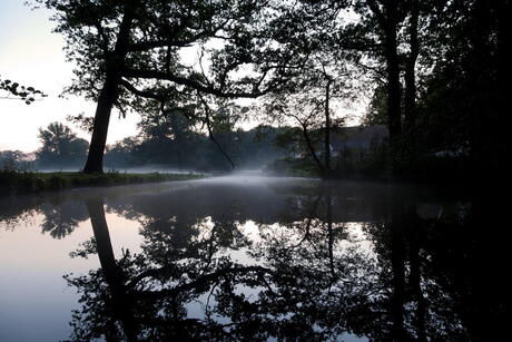 Opkomende mist