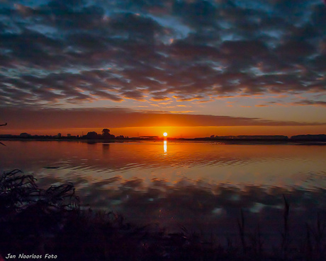 Zonsopkomst Biesbosch