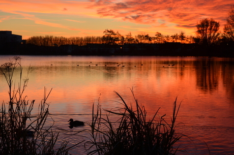 Prachtige zonsondergang