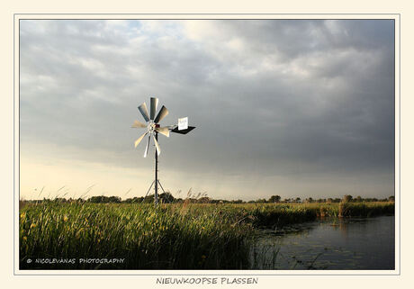 Windmill