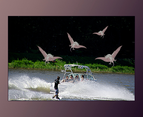 wakeboarden2