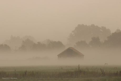 Schuur in de Mist