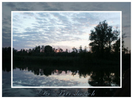 De Biesbosch