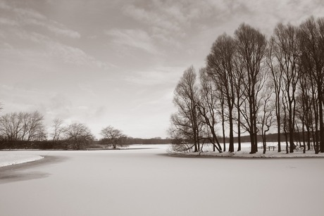 Sneeuw in kralingen