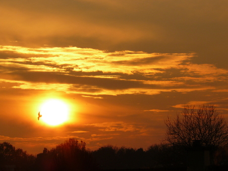 Zonsondergang