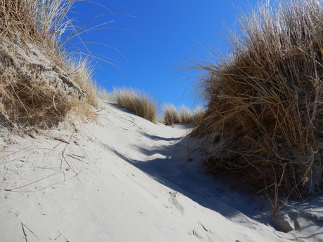 duinen in april