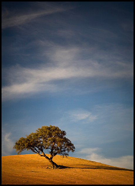 solitude colour