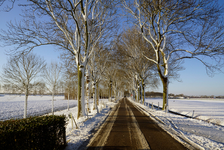 winter weg