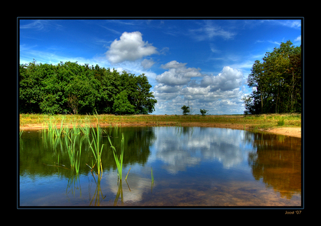 Nieuwe natuur