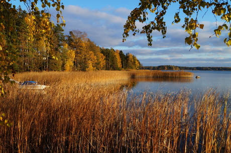 finse natuur