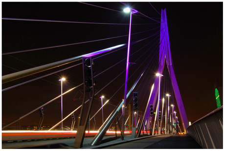 Erasmusbrug, Rotterdam